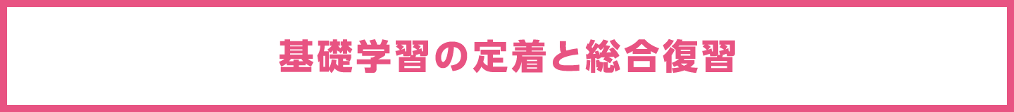 基礎学習の定着と総合復習