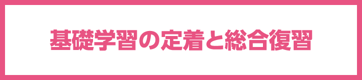 基礎学習の定着と総合復習